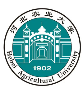 聊城河北农业大学